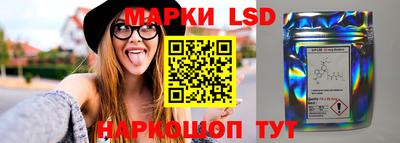 гидра Можга