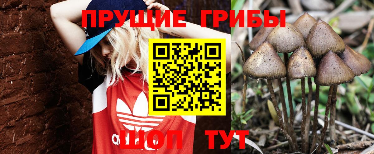 Псилоцибиновые грибы GOLDEN TEACHER Кизляр