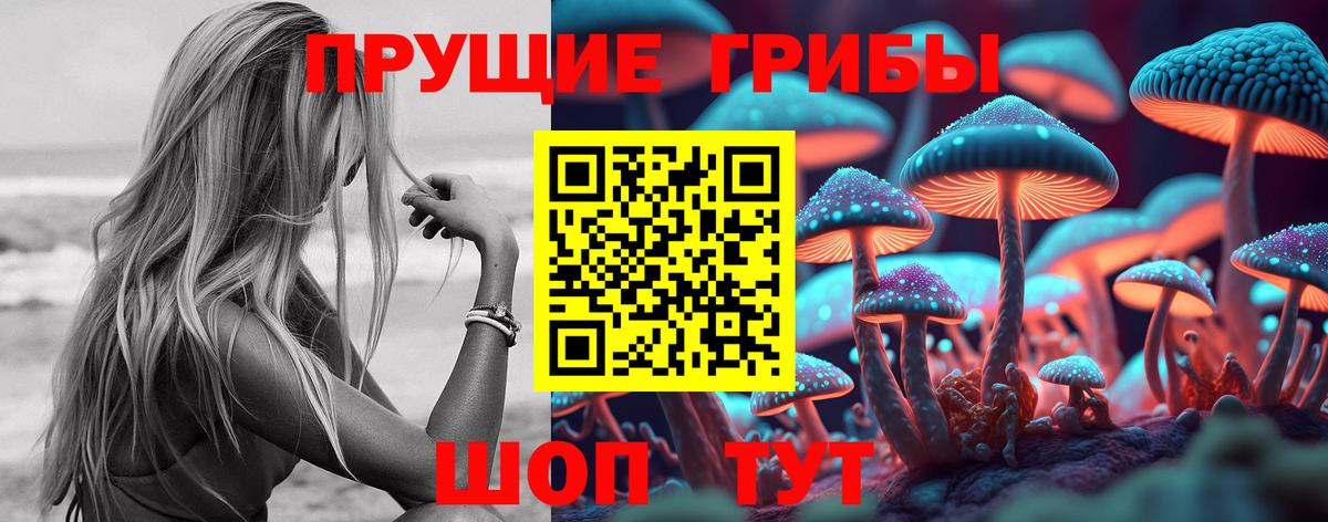 сколько стоит  Галлюциногенные грибы Psilocybine cubensis  Вход с VPN  Кизляр 